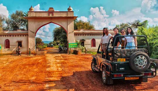 SARISKA TIGER RESERVE JEEP SAFARI (Rajasthan) 2025